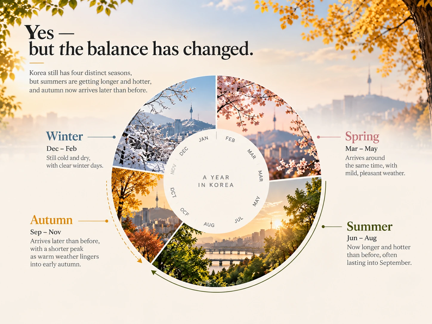 Circular infographic showing winter, spring, summer and autumn in Korea